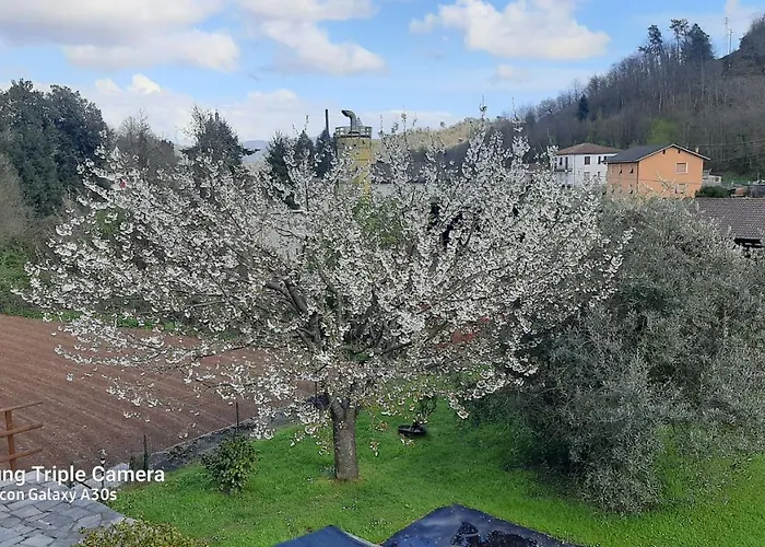 La Via Del Sale Pignone